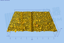 1600224540703909.jpg litixingmao-12.jpg